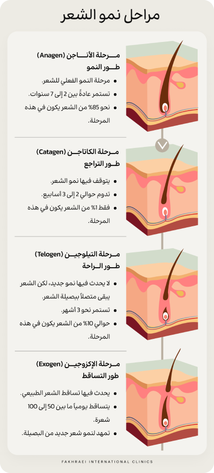 Mobile Image